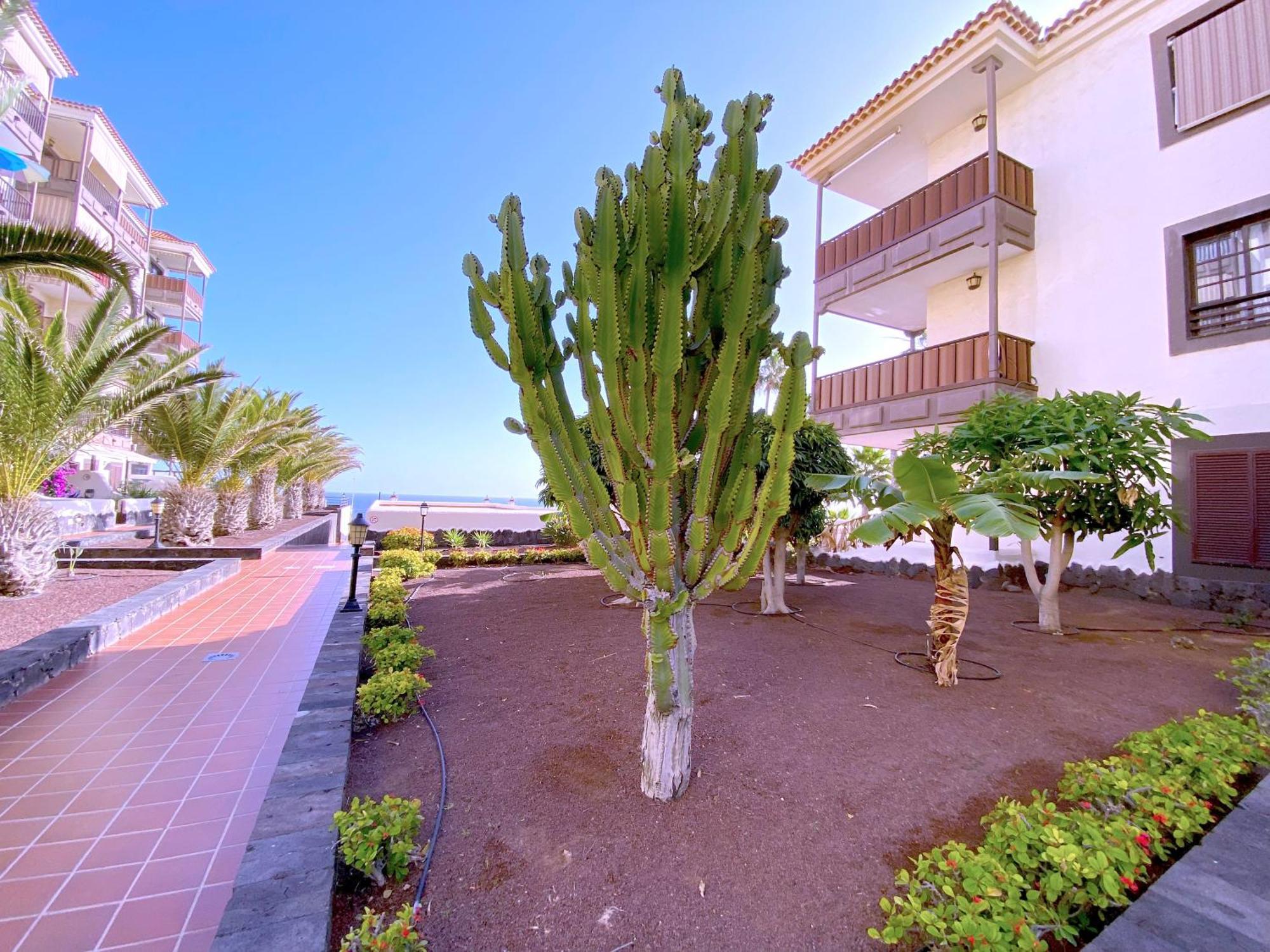 Apartamento Tropicalidays Costa Mar Costa del Silencio Exterior foto